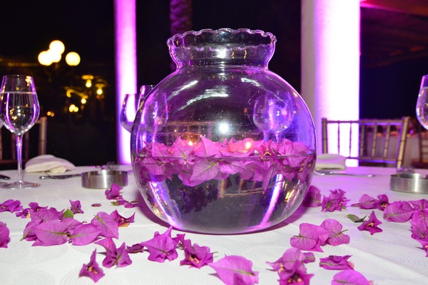 Louis Wegman Prom At Edde Sands
